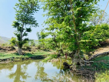  Plot – Exterior View View at Khandwa Road - for Sale