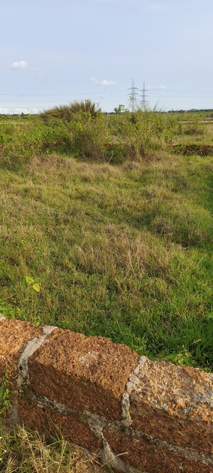 Plot Area in  Plot at Patrapada – for Sale