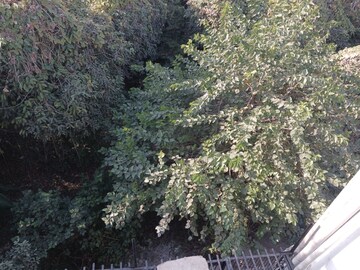 2 BHK Independent House For Rent in RWA Apartments Sector 108, Sector 108