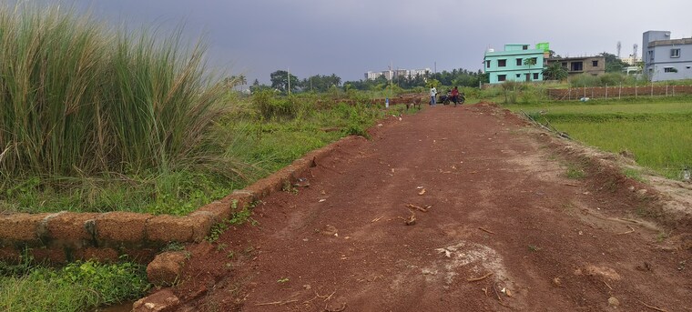 undefined, bhubaneswar puri highway  1204 Sq.Ft. Plot In BhubaneswaR Puri Highway Bhubaneswar 8780785