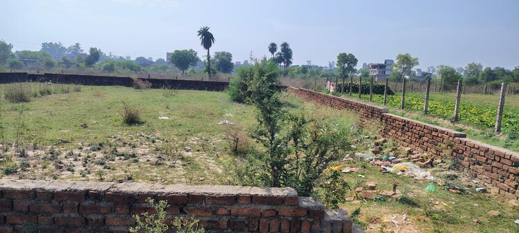 undefined, faizabad road  1000 Sq.Ft. Plot In Faizabad Road Lucknow 8780812