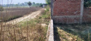 Plot Area in  Plot at Faizabad Road – for Sale