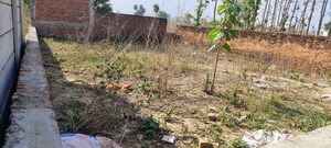 Plot Area in  Plot at Faizabad Road – for Sale