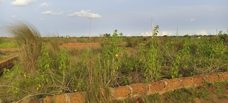 undefined, sijua  1206 Sq.Ft. Plot In Sijua Bhubaneswar 8780997