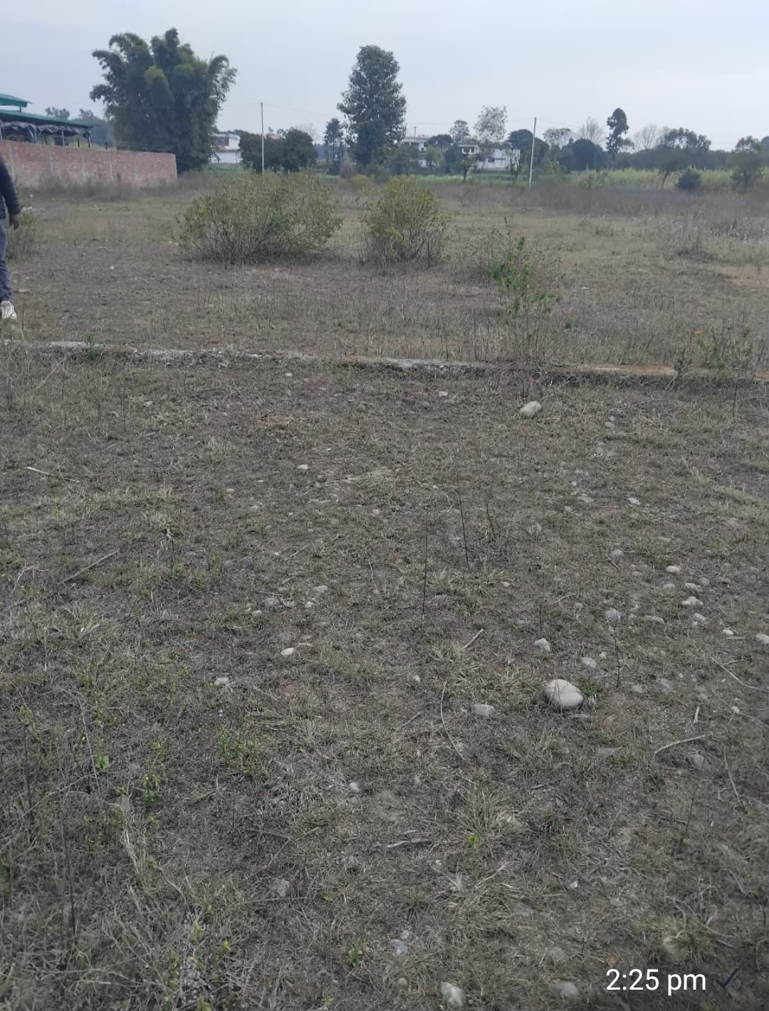 Plot For Sale in Charba Road Langa