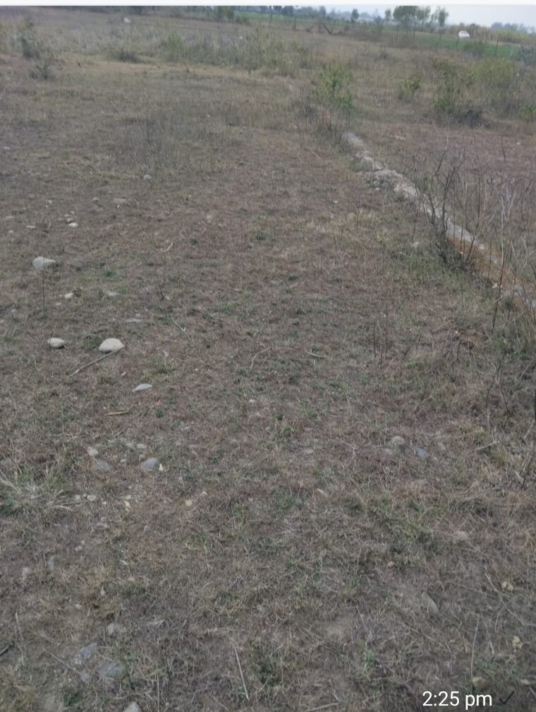 undefined, herbertpur  238 Sq.Yd. Plot In Herbertpur Dehradun 8781365