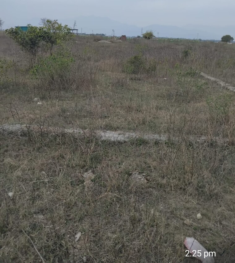 undefined, herbertpur  238 Sq.Yd. Plot In Herbertpur Dehradun 8781365