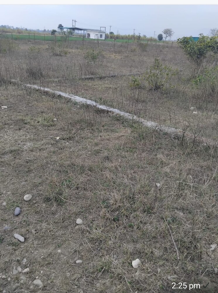 undefined, herbertpur  238 Sq.Yd. Plot In Herbertpur Dehradun 8781365