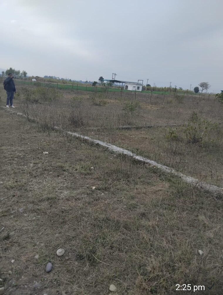 undefined, herbertpur  238 Sq.Yd. Plot In Herbertpur Dehradun 8781365
