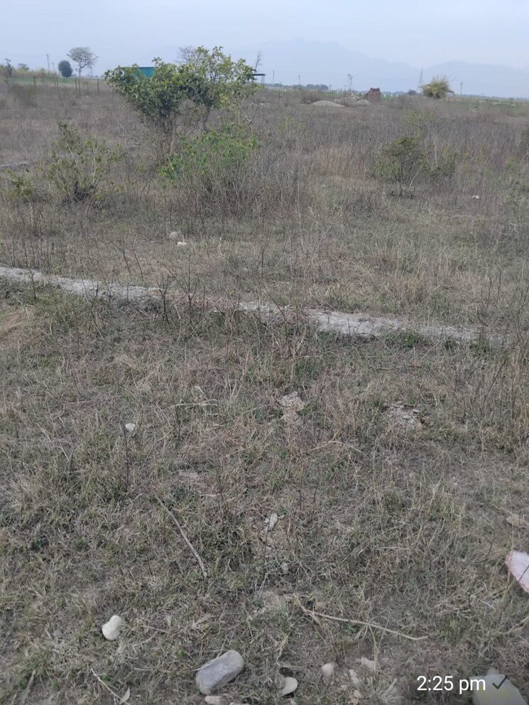 undefined, herbertpur  238 Sq.Yd. Plot In Herbertpur Dehradun 8781365