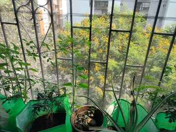 2.5 BHK Apartment – Garden View at Kamothe - for Sale