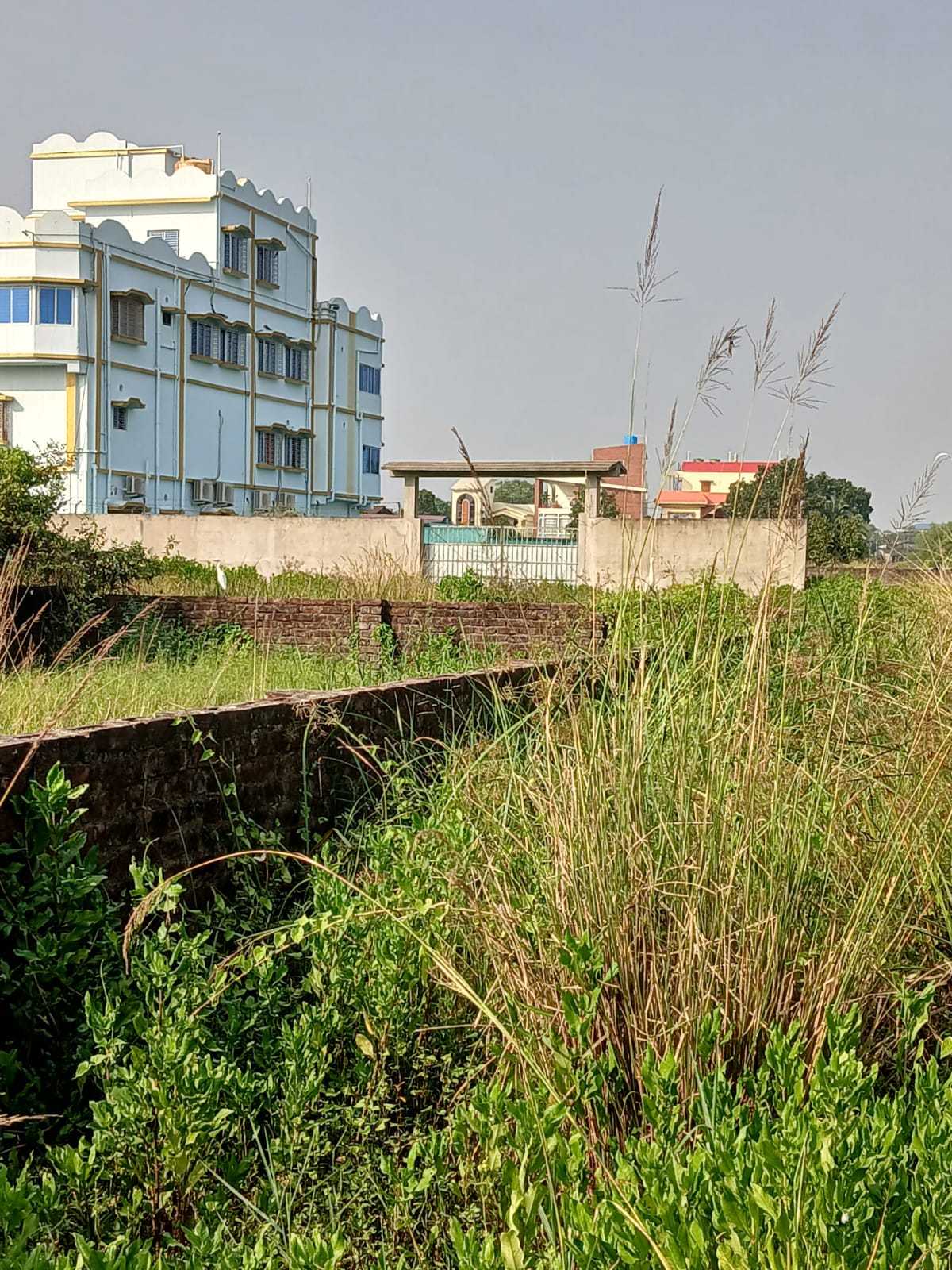 Plot For Sale in Thakurpukur