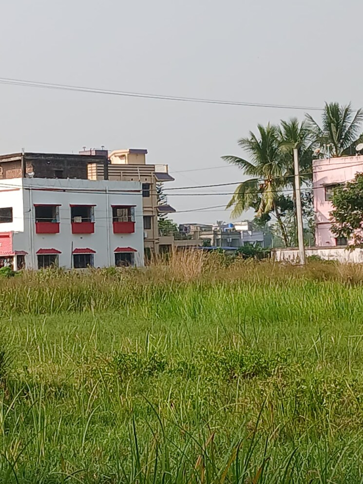 Exterior View, thakurpukur  1495 Sq.Ft. Plot In Thakurpukur Kolkata 8781666