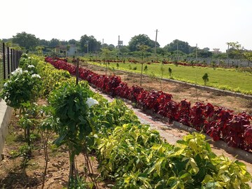  Plot – Garden View at Kothur - for Sale