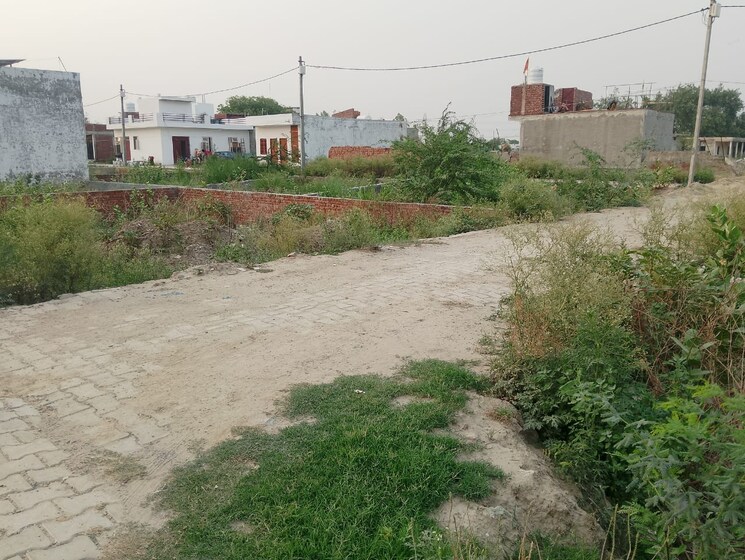undefined, sector 137  100 Sq.Yd. Plot In Sector 137 Noida 8781808