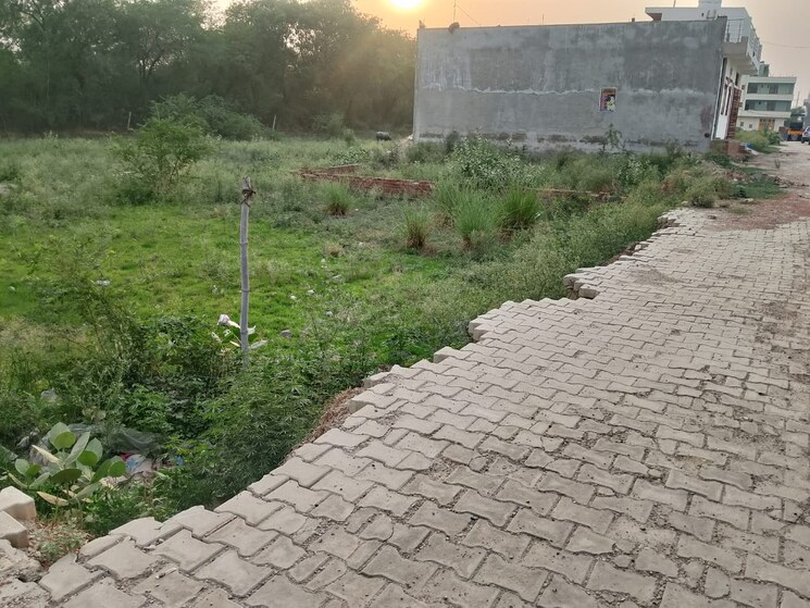 undefined, sector 137  50 Sq.Yd. Plot In Sector 137 Noida 8781876