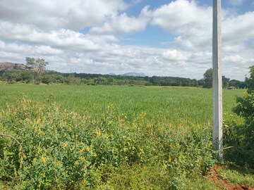 Plot Area in  Plot at Devanahalli Road – for Sale