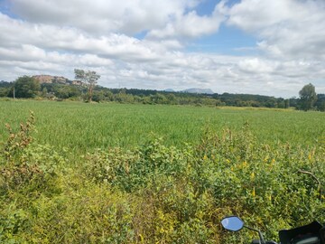  Plot For Sale in Devanahalli Road