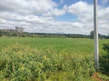 Plot Area in  Plot at Devanahalli Road – for Sale
