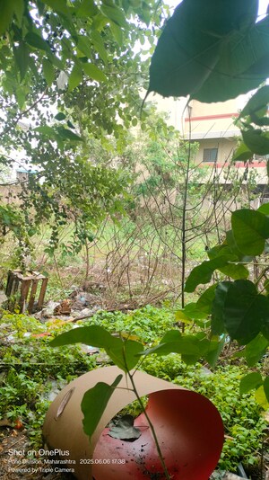  Plot – Garden View at Organic Dhanorina, Dhanori - for Sale