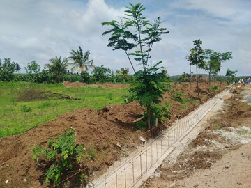  Plot For Sale in Old Hubli