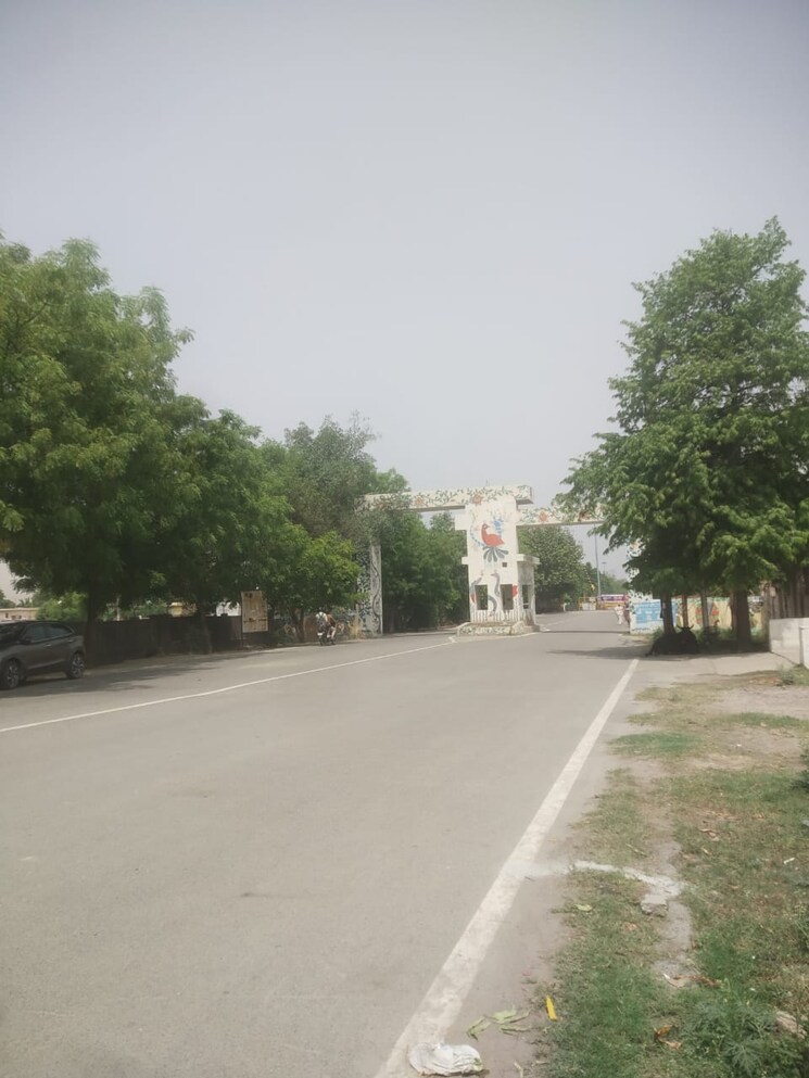 Room, sector 15 Pg For Boys In Sector 15 8782255