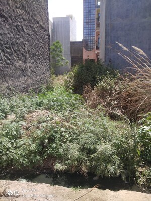  Plot – Garden View at Krishna Apartments Ankur Vihar, Dlf Ankur Vihar - for Sale