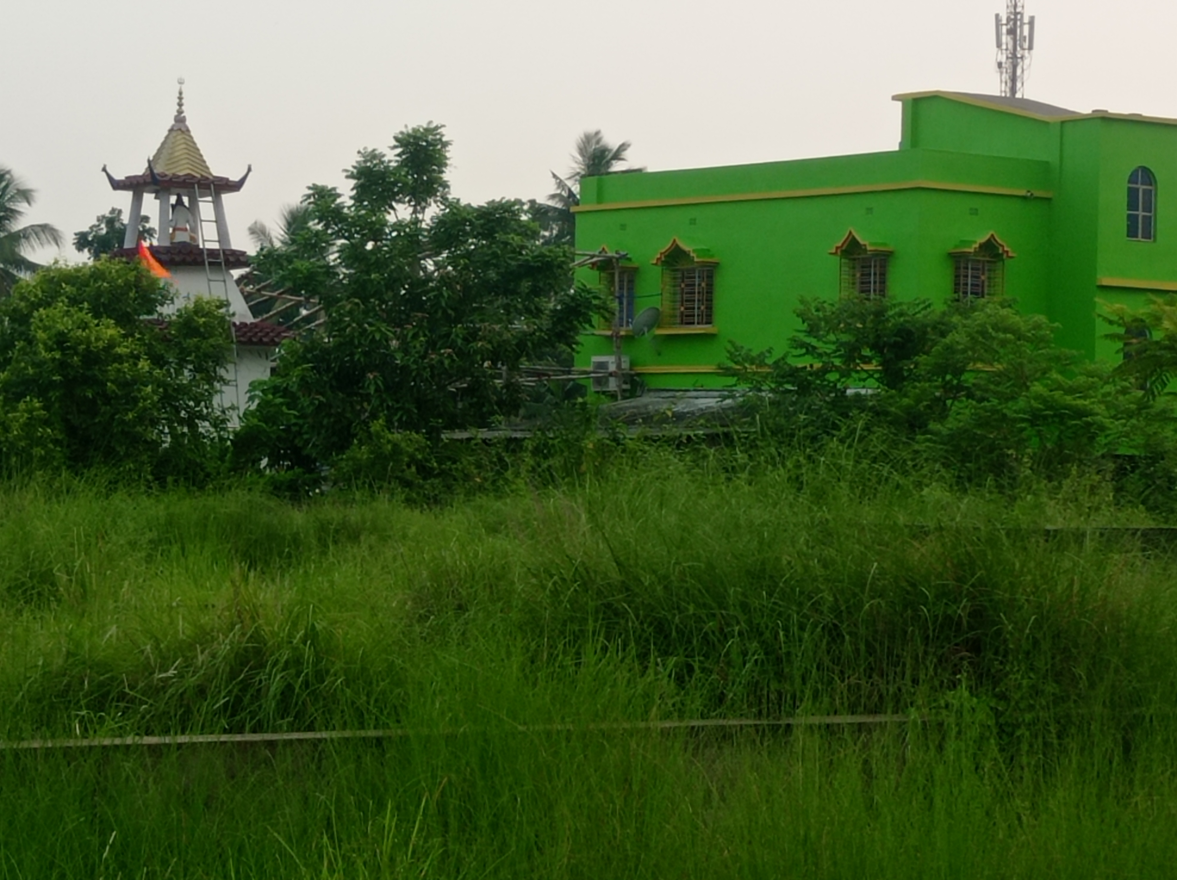 Plot For Sale in Southern Park