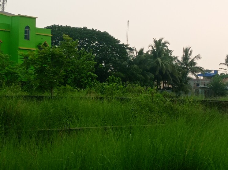 undefined, southern-park  1500 Sq.Ft. Plot In Baruipur Kolkata 8782272