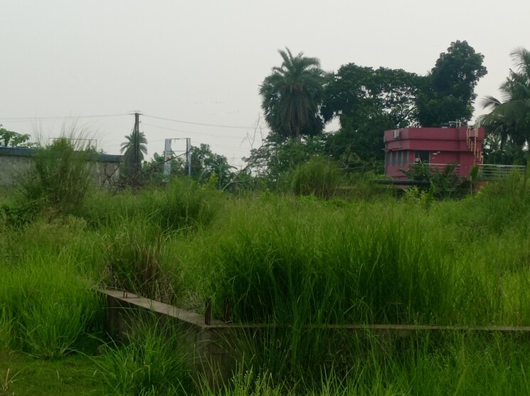 undefined, southern-park  1500 Sq.Ft. Plot In Baruipur Kolkata 8782272