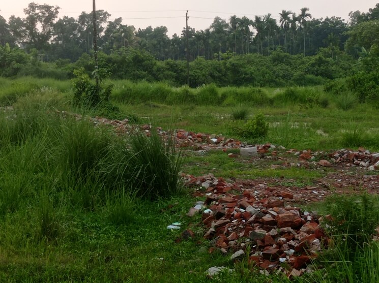 undefined, southern-park  1500 Sq.Ft. Plot In Baruipur Kolkata 8782272