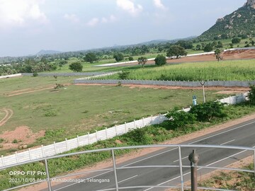 Plot Area in  Land at Amangal – for Sale