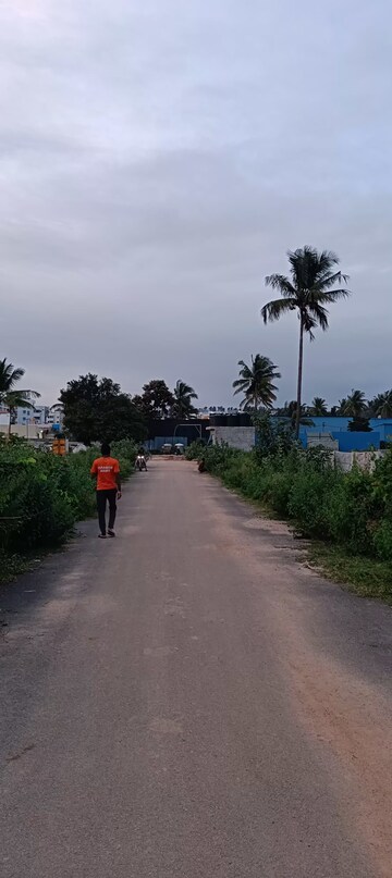  Plot For Sale in Singasandra