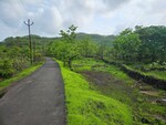 50 Acre Land in Mangaon