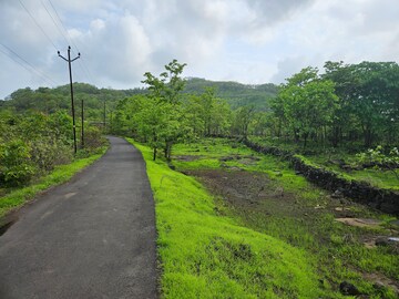  Land For Sale in Mangaon