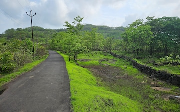 Land For Sale in Mangaon