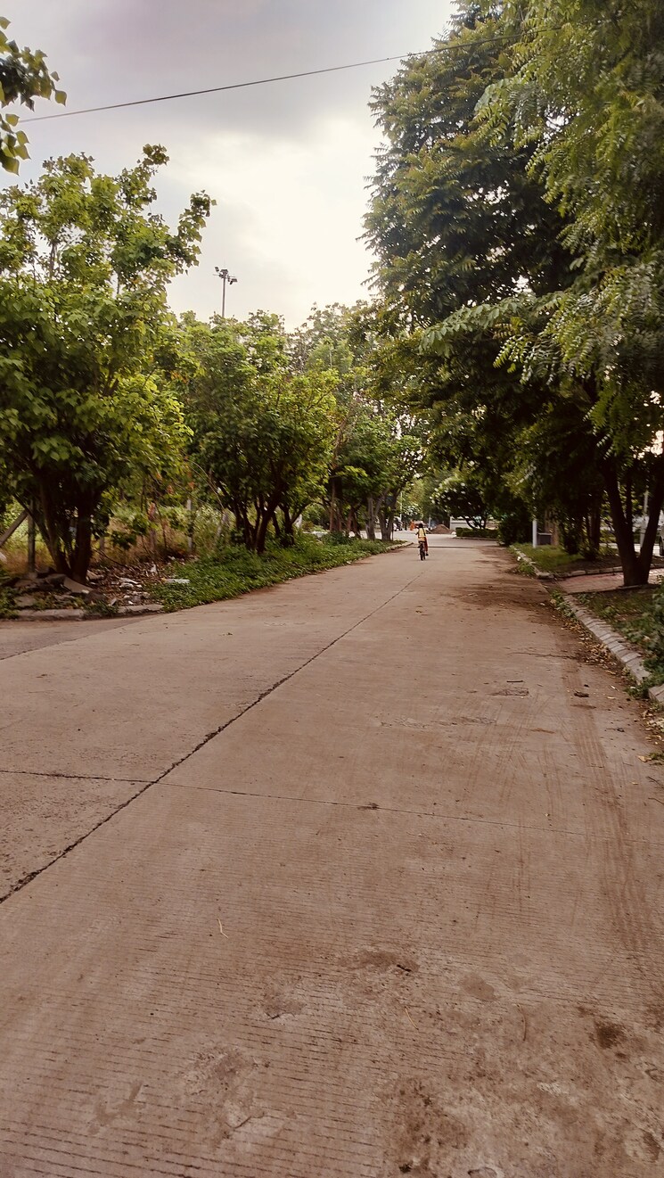 undefined, indore bypass road  1500 Sq.Ft. Plot In Indore Bypass Road Indore 8782476