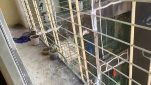 Balcony in 2 BHK Apartment at MAAD Nakoda Heights, Nalasopara West – for Sale