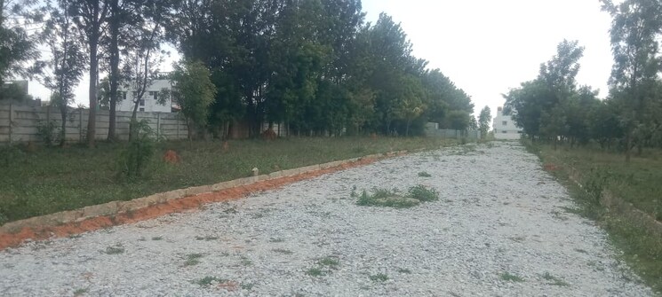 undefined, maralakunte  1254 Sq.Ft. Plot In Maralakunte Bangalore 8782751