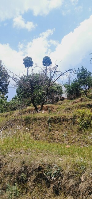 Plot Area in  Land at Ramgarh – for Sale