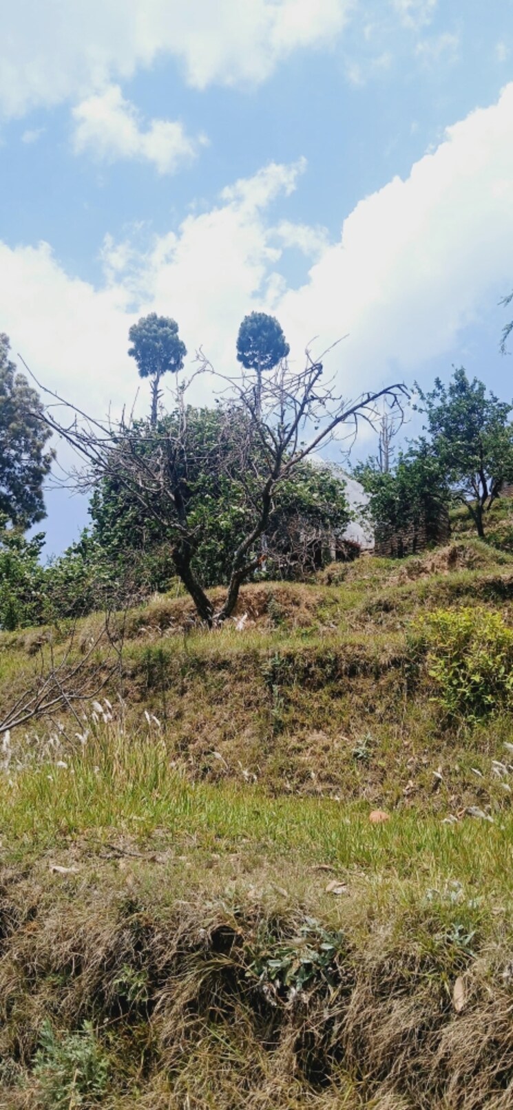 undefined, ramgarh Commercial Land 77760 Sq.Ft. In Ramgarh Nainital 8782771