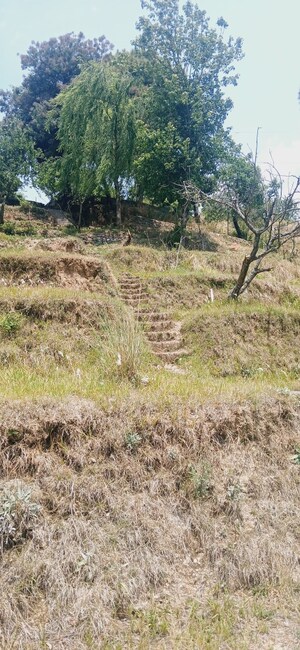 Plot Area in  Land at Ramgarh – for Sale