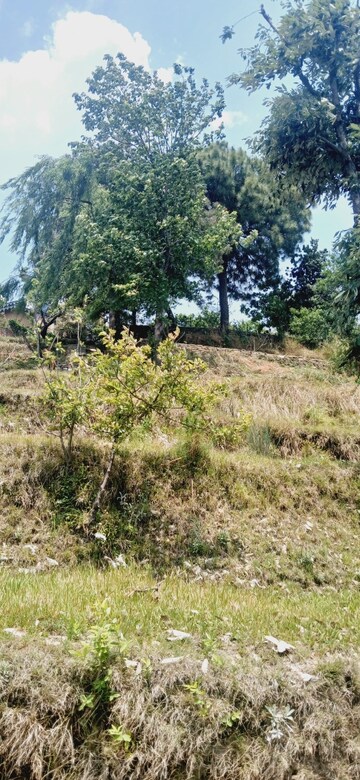 Plot Area in  Land at Ramgarh – for Sale