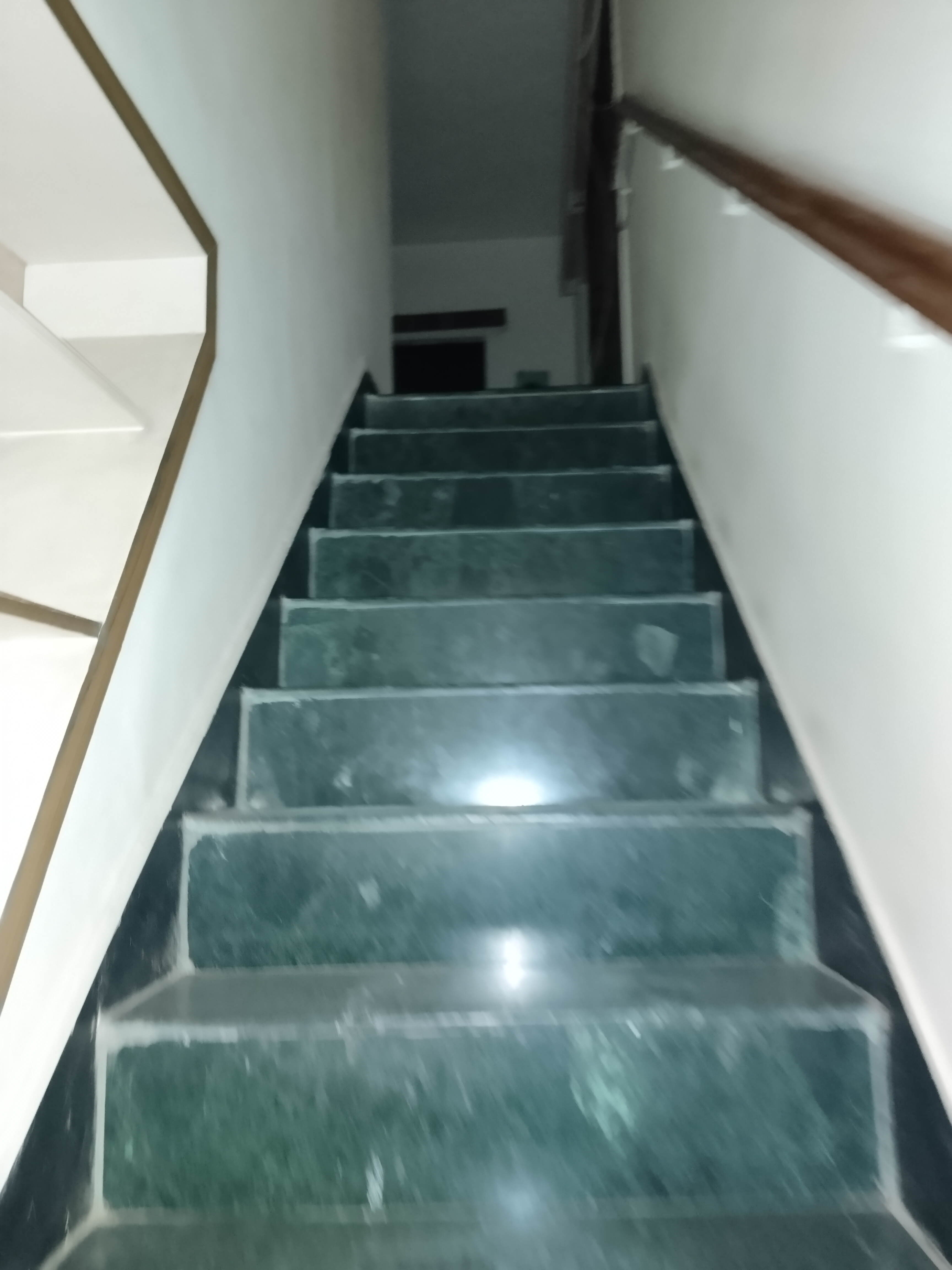 3 BHK Apartment For Sale in Sarita Vihar Pocket-J RWA