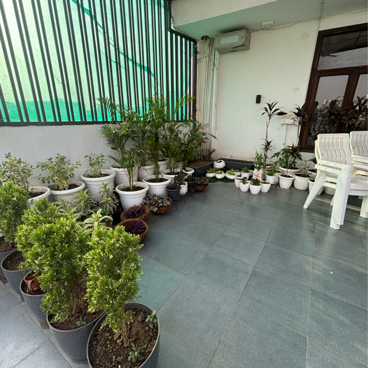 Team Area, saket 1 Bedroom 1500 Sq.Ft. Builder Floor In Saket Delhi 8782945