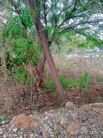  Plot For Sale in Prestige Primrose Hills, Banashankari 6th Stage