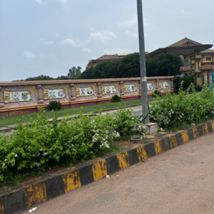  Plot – Exterior View View at Mangalagiri - for Sale