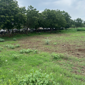  Plot For Sale in Mangalagiri