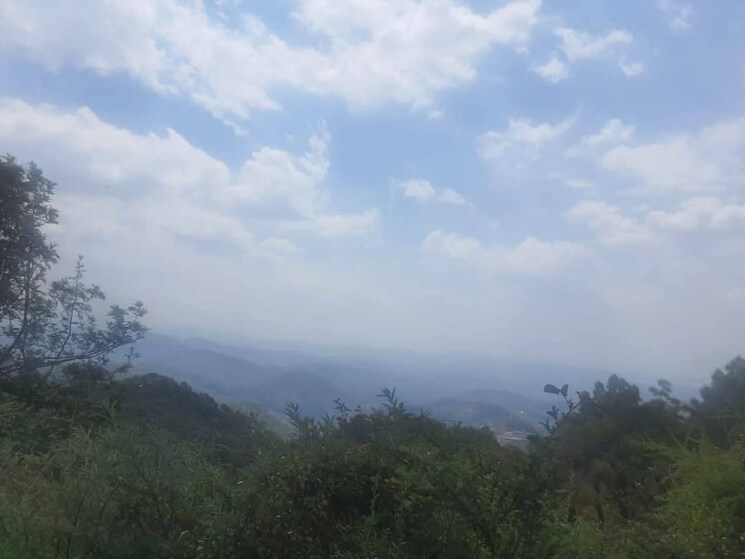 Master Bedroom, totu 6+ Bedroom 4500 Sq.Ft. Independent House In Totu Shimla 8783423