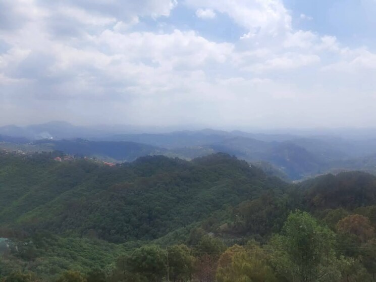 Garden, totu 6+ Bedroom 4500 Sq.Ft. Independent House In Totu Shimla 8783423